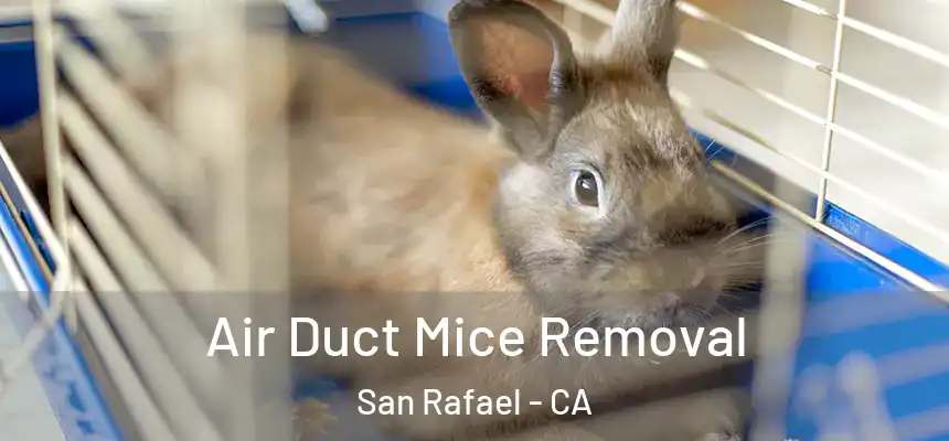  Air Duct Mice Removal San Rafael - CA