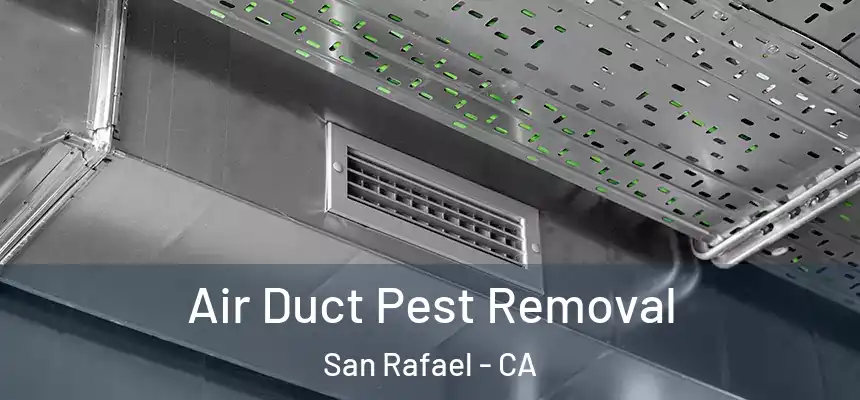  Air Duct Pest Removal San Rafael - CA