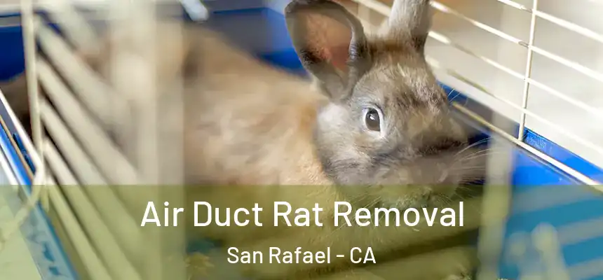  Air Duct Rat Removal San Rafael - CA