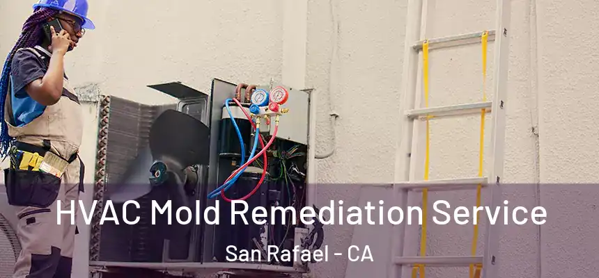  HVAC Mold Remediation Service San Rafael - CA