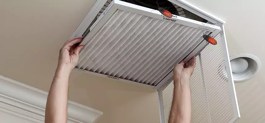 Preventive Cockroach-Proofing for Ducts in San Rafael