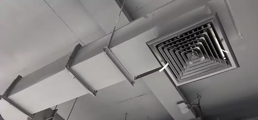 Our Pest Removal From Ducts Services in San Rafael, CA