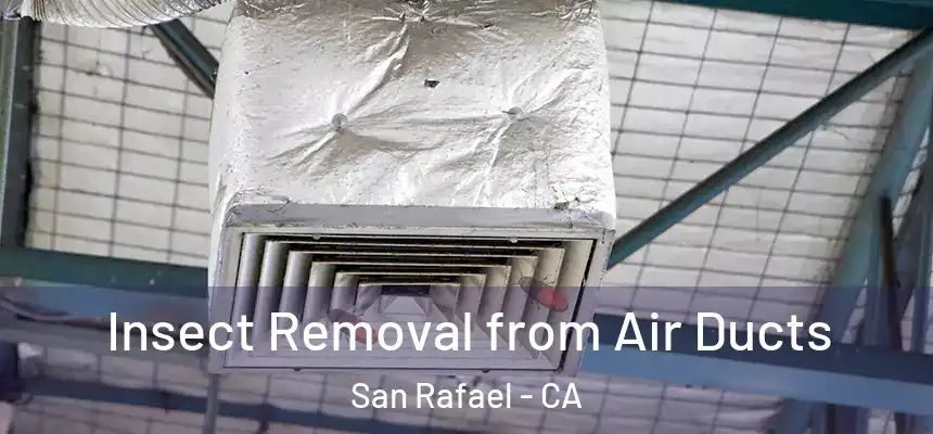  Insect Removal from Air Ducts San Rafael - CA