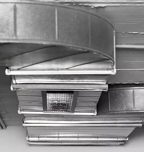 Professional Air Duct Pest Removal in San Rafael, CA