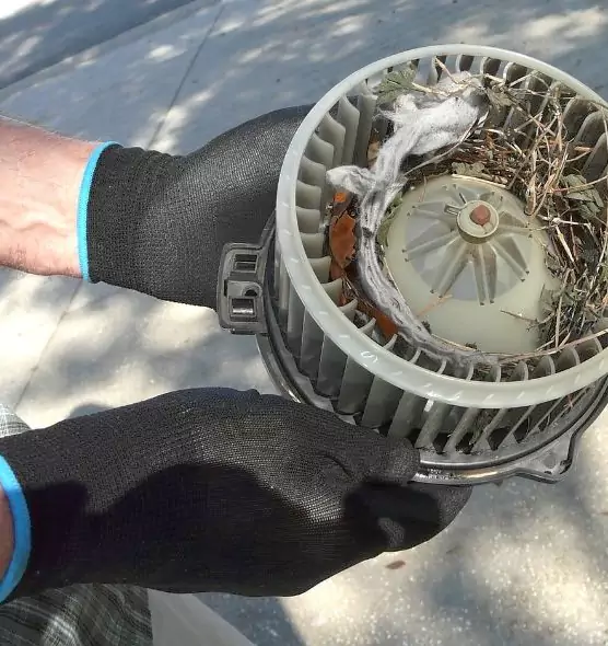 About Air Duct Rat Removal in San Rafael, CA