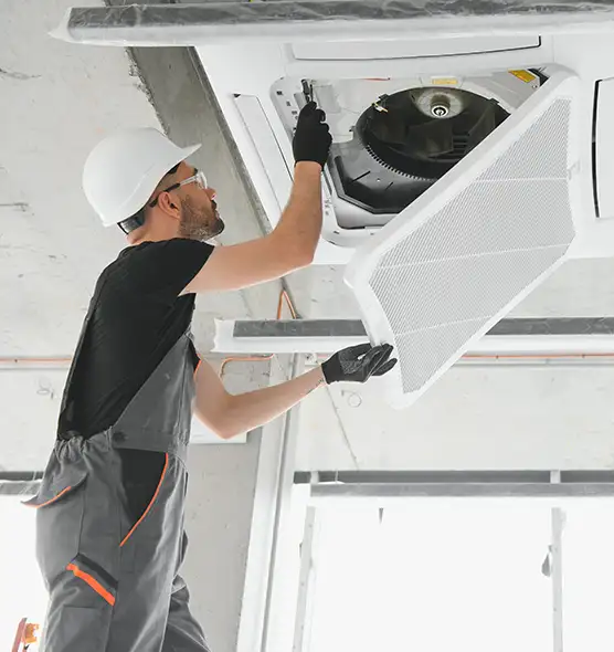 About Air Duct Rodent Removal in San Rafael, CA