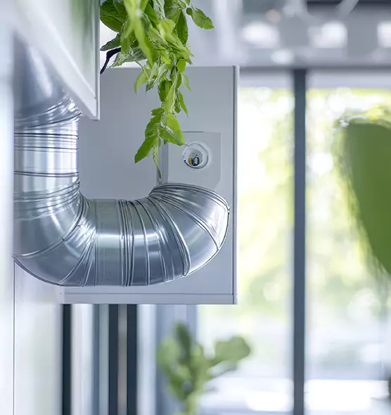 Professional Eco-Friendly Duct Cleaning Services in San Rafael, CA