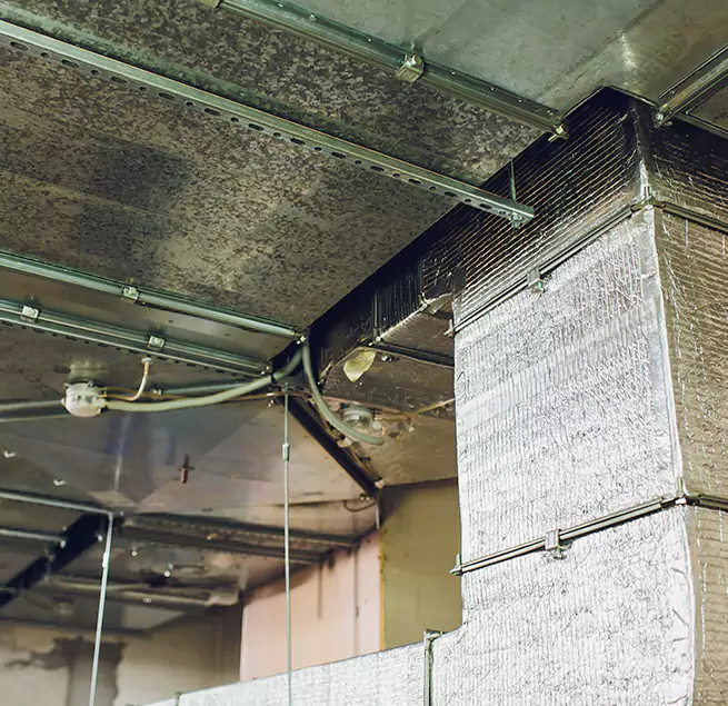 Why Homeowners & Businesses Trust Us in San Rafael, CA?